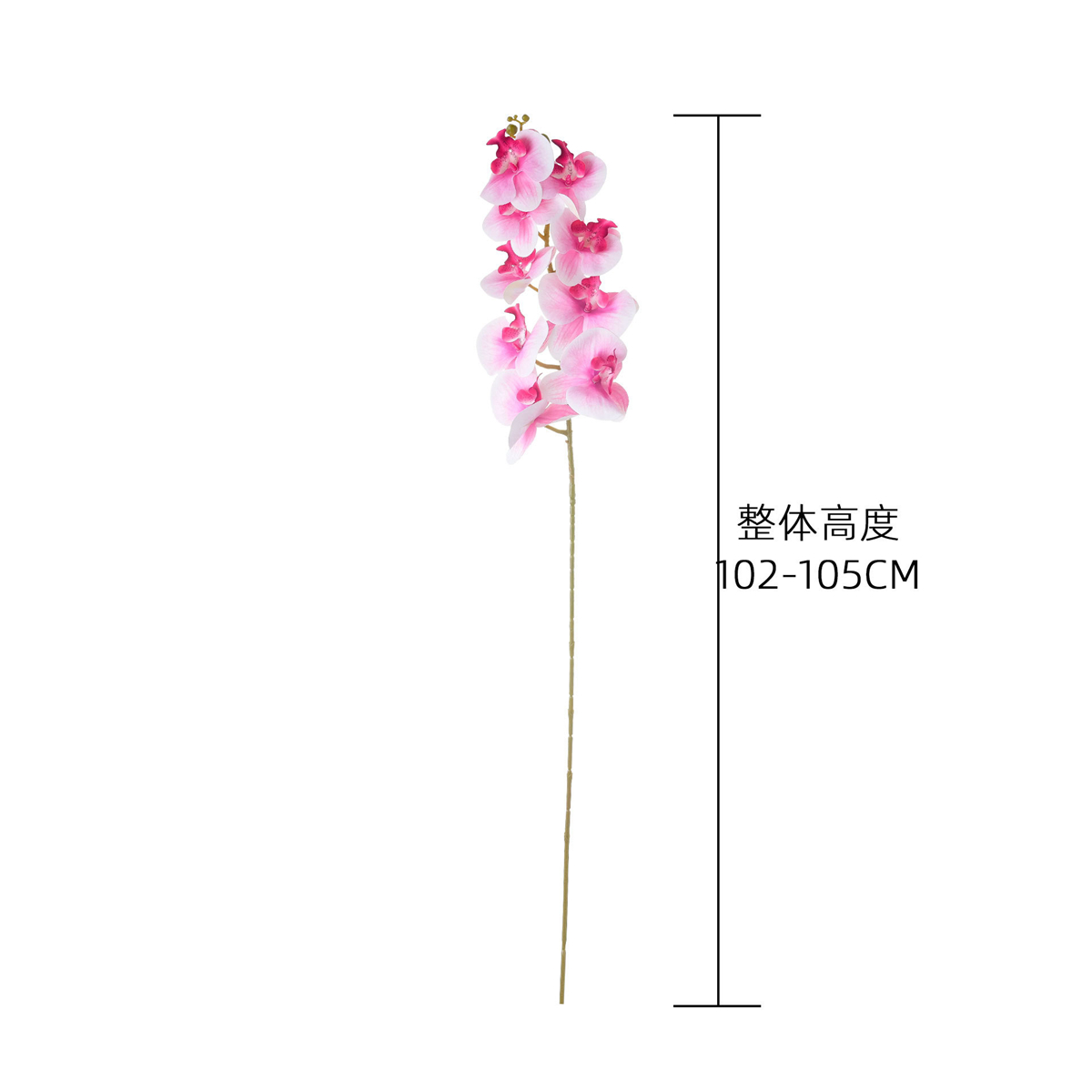 زهرة الأوركيد الاصطناعية متعدد - مراجعة Florist Supply Bulk وسعره